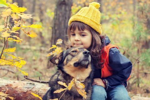 5 Questions To Ask Yourself Before Choosing A Co Parenting App Ourfamilywizard
