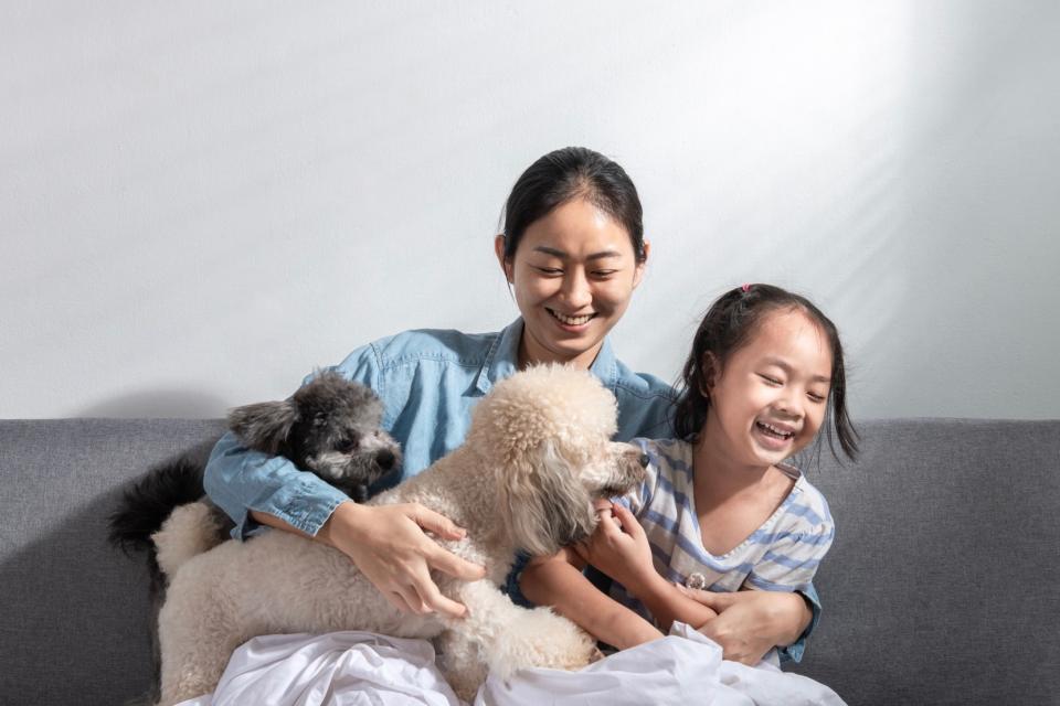 Mom and daughter with two dogs on the couch.
