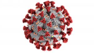 3d model of the coronavirus