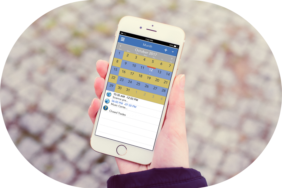Woman holding phone looking at parenting schedule