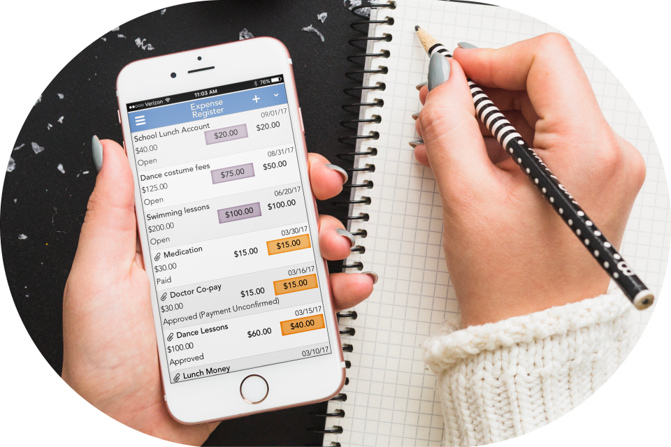 Viewing expenses on mobile