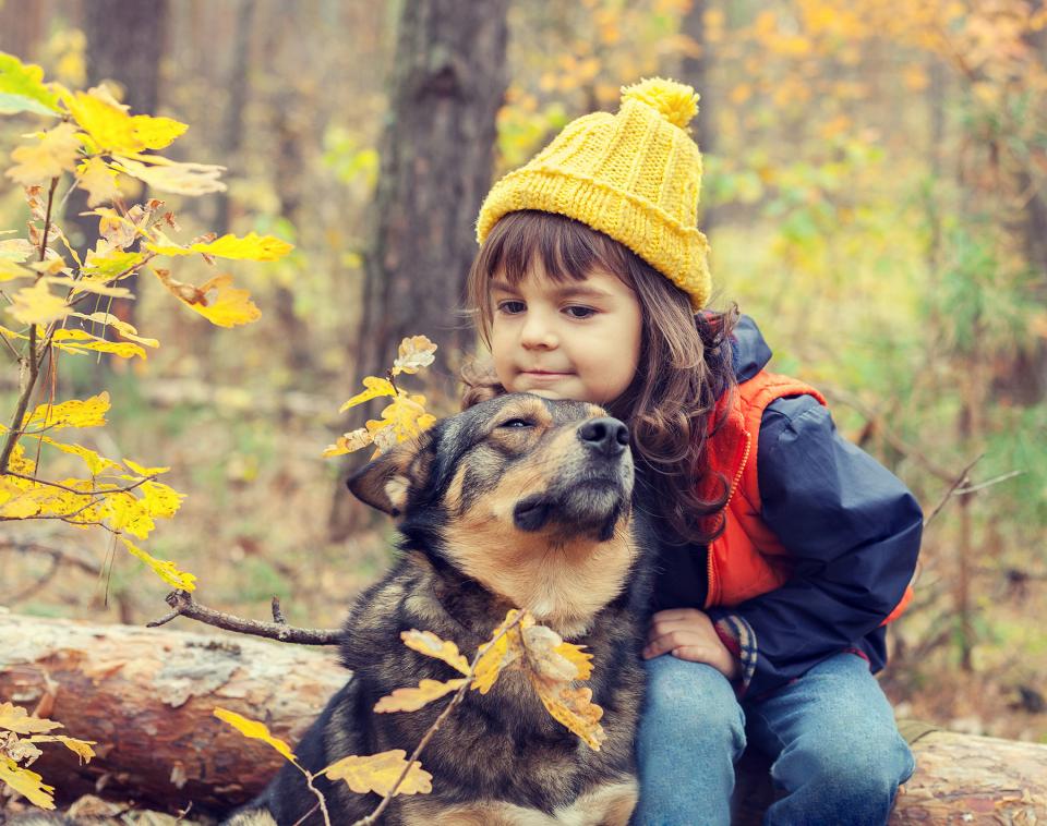 On a fall hike, little girl takes a break on a log and rests her chin on the top of her dog's head.